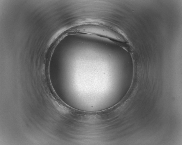 X0000078011066200611101815
