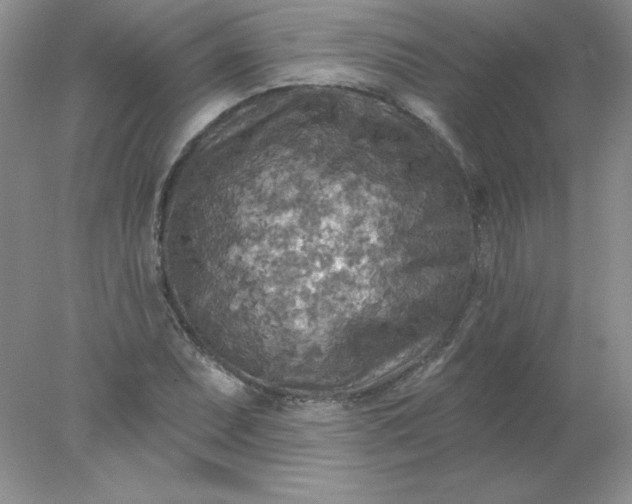 X0000078011071200611101815