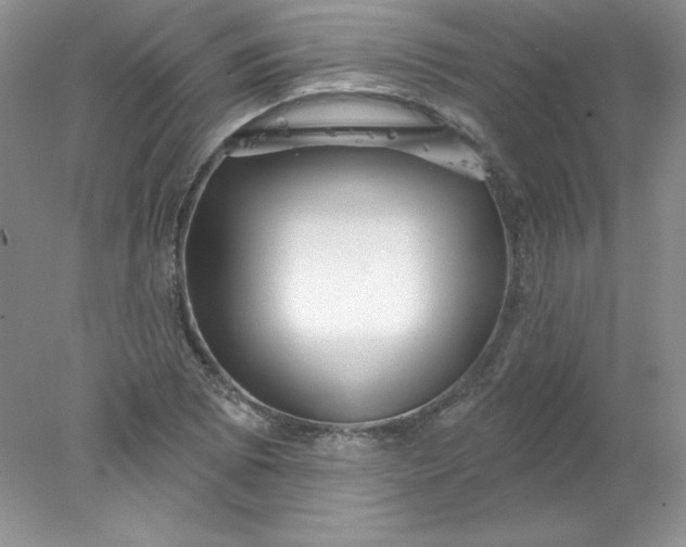 X0000078011073200611101815