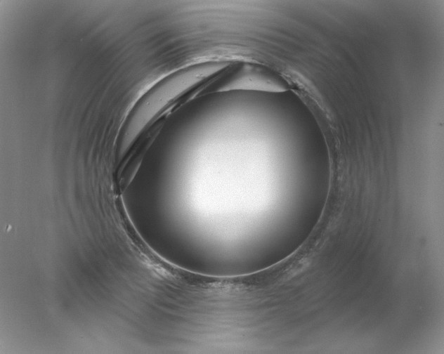 X0000078011081200611101815