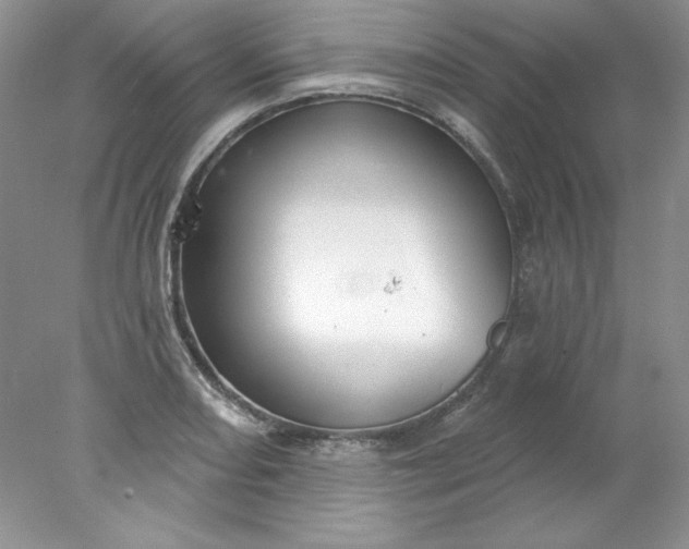 X0000078011082200611101815
