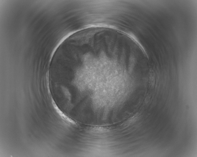 X0000078011100200611101814