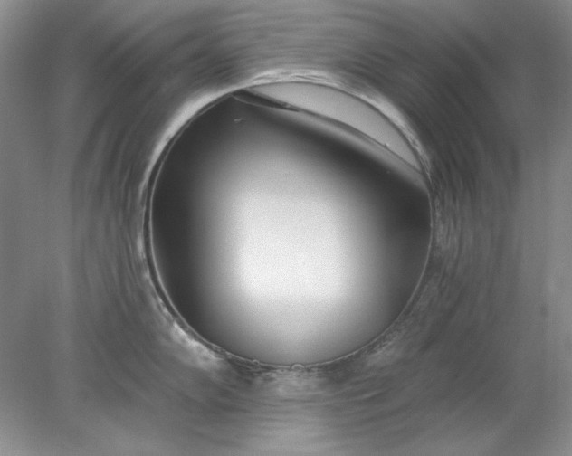 X0000078011102200611101814
