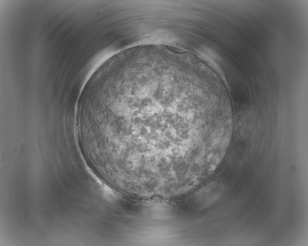 X0000078011103200611101814