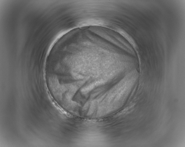 X0000078011104200611101814