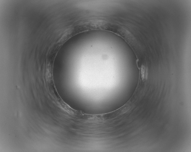 X0000078011107200611101813