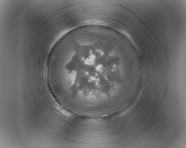 X0000078011125200611101814