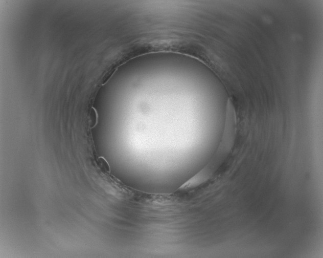 X0000078011153200611101813