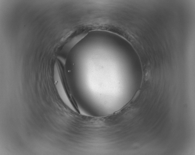 X0000078011156200611101813