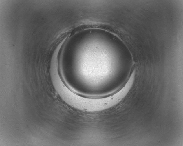 X0000078011157200611101813