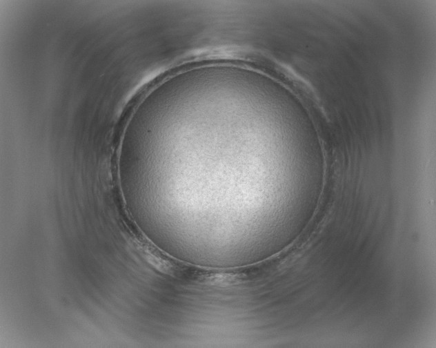 X0000078011166200611101813