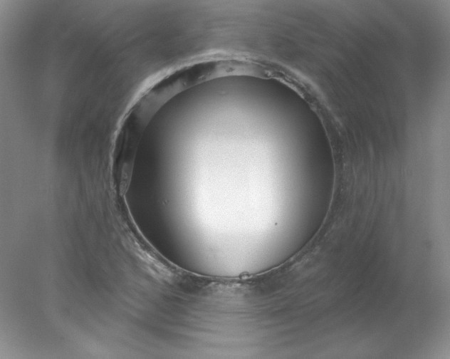 X0000078011168200611101813