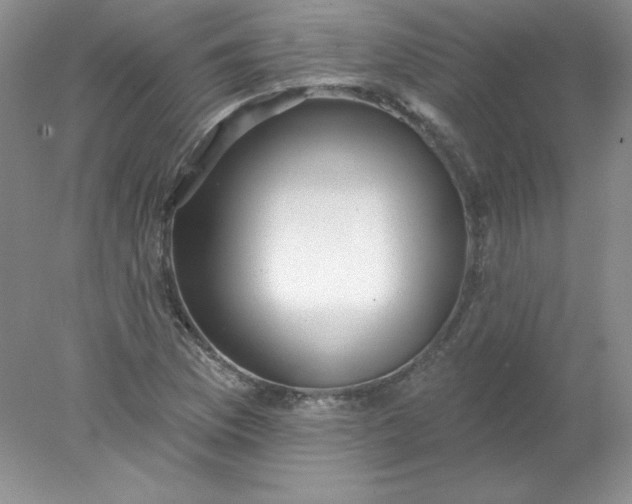 X0000078011169200611101813