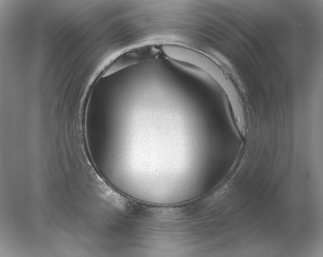 X0000078011192200611101813