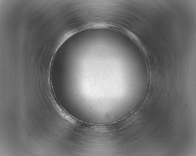 X0000078011194200611101813
