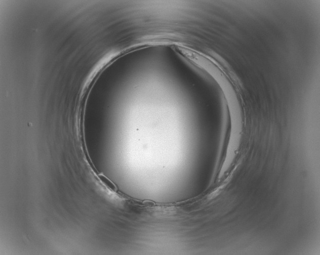 X0000078011196200611101813