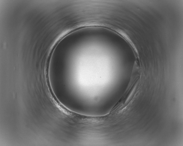 X0000078011197200611101813