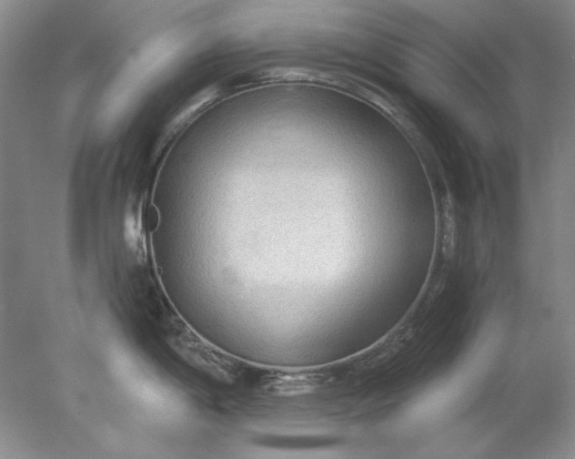 X0000078011198200611101813