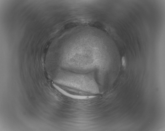 X0000078011203200611101812