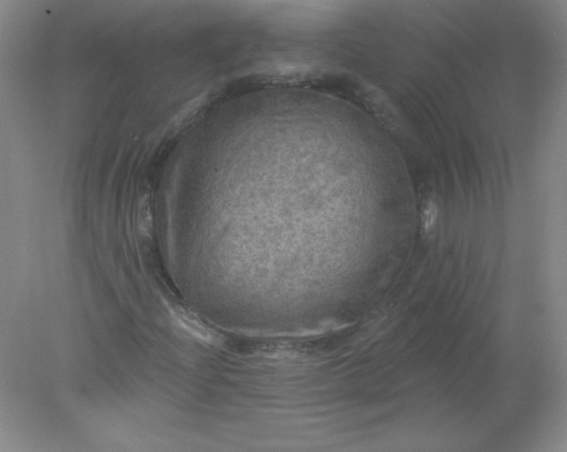X0000078011204200611101812