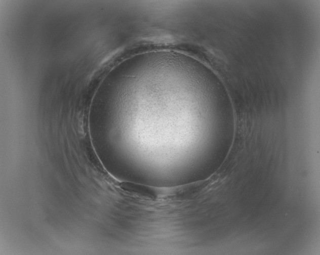 X0000078011205200611101812
