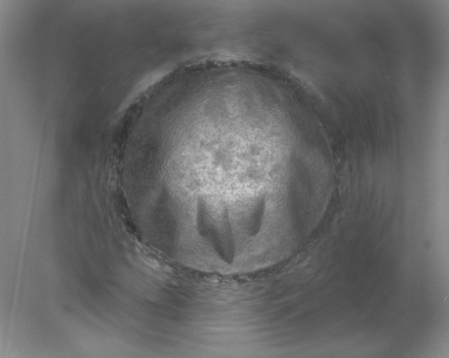 X0000078011207200611101812