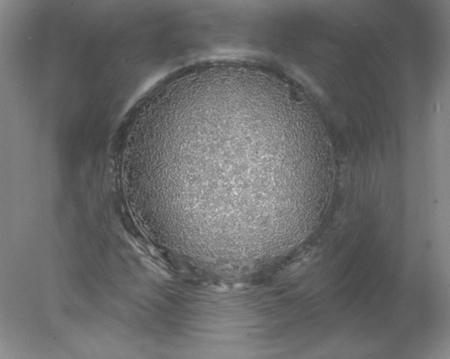 X0000078011208200611101812