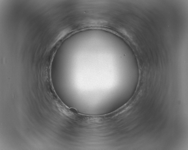X0000078011211200611101812