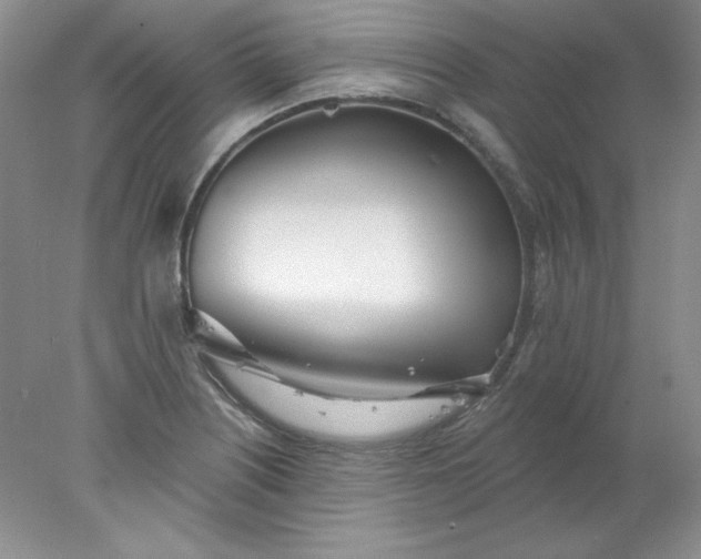 X0000078011226200611101812