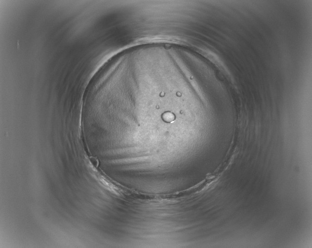 X0000078011228200611101812