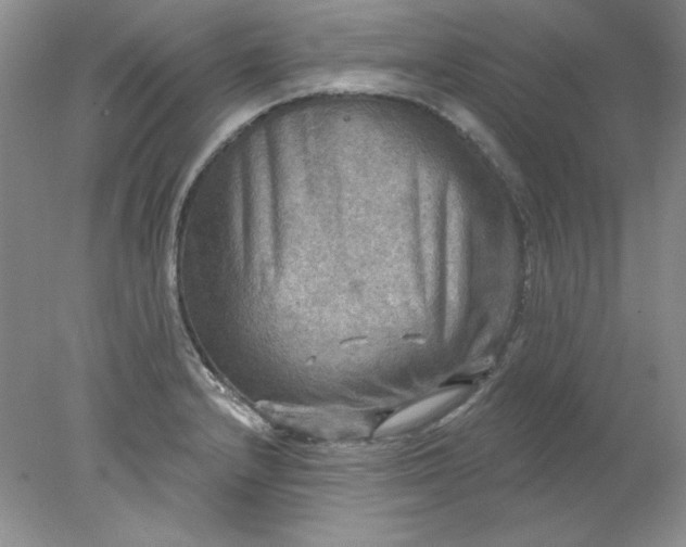 X0000078011232200611101812