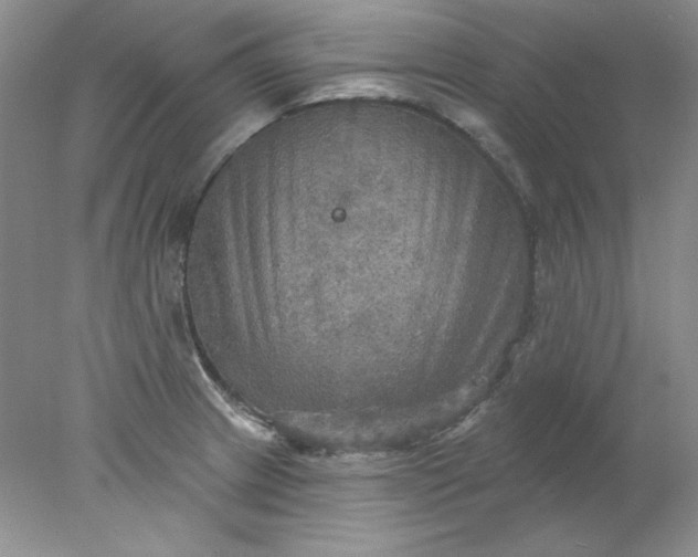 X0000078011233200611101812