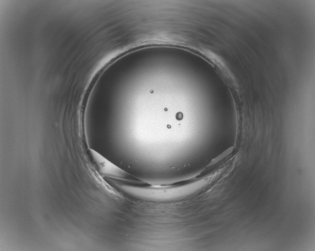 X0000078011238200611101812
