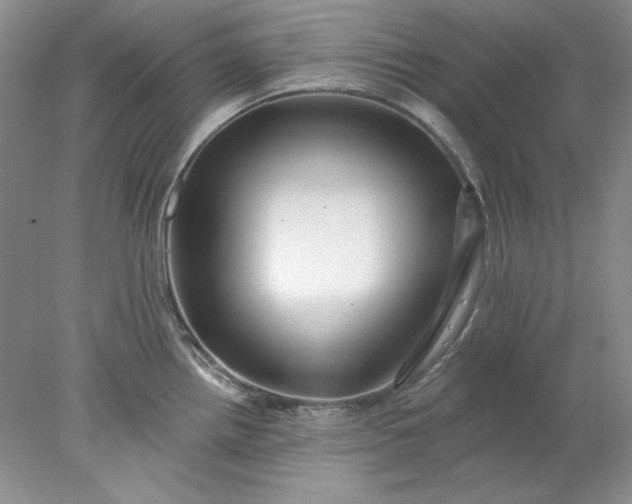 X0000078011242200611101812
