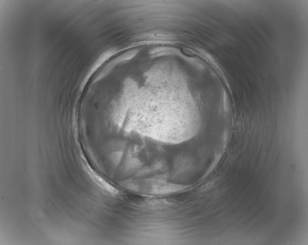 X0000078011243200611101812