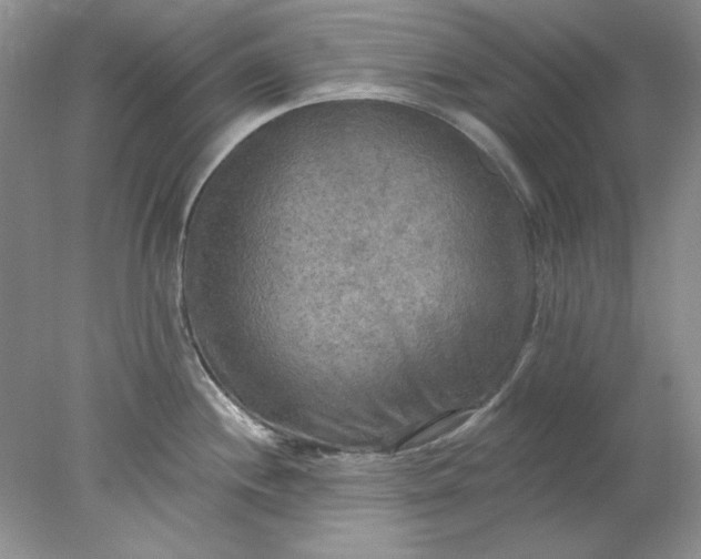 X0000078011244200611101812