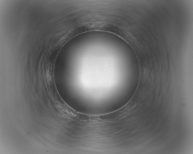 X0000078011250200611101812