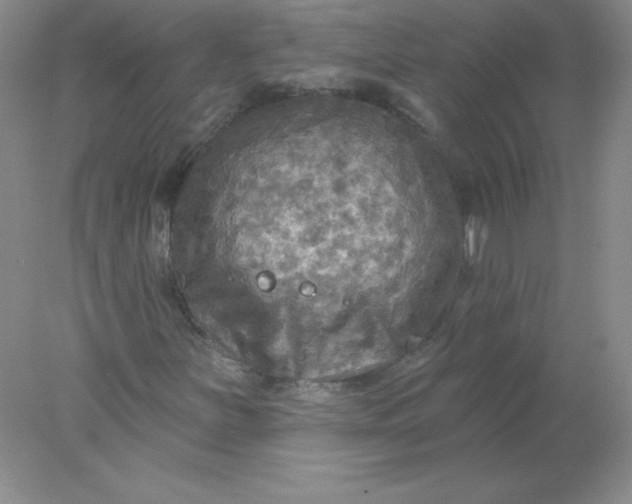 X0000078011251200611101812