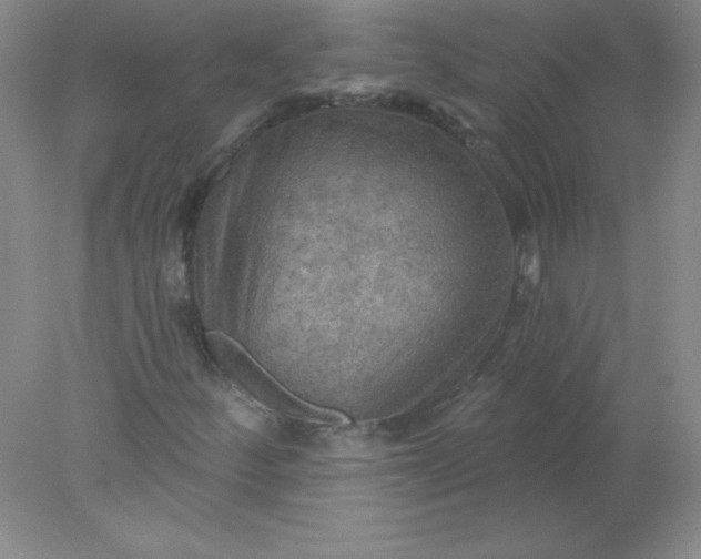 X0000078011252200611101812
