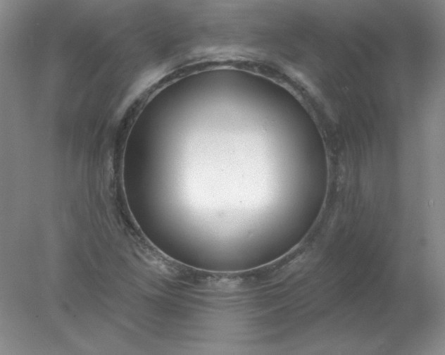 X0000078011261200611101811