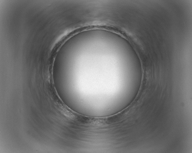 X0000078011262200611101811
