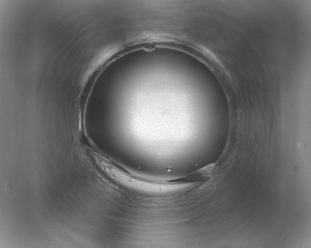 X0000078011269200611101811