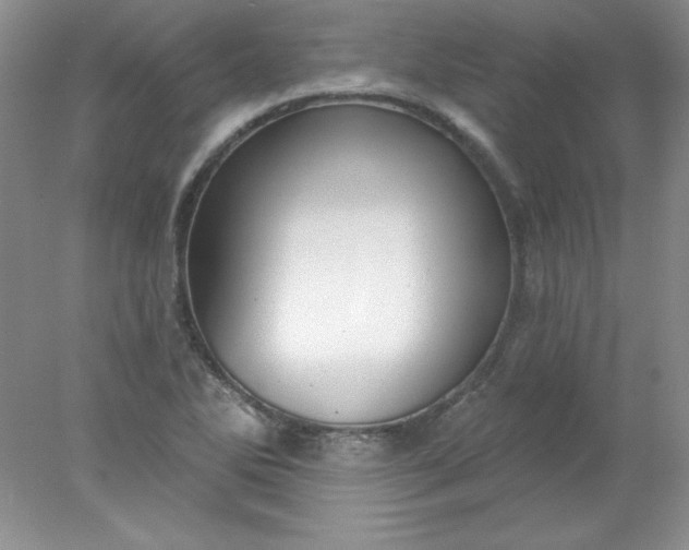 X0000078011270200611101811