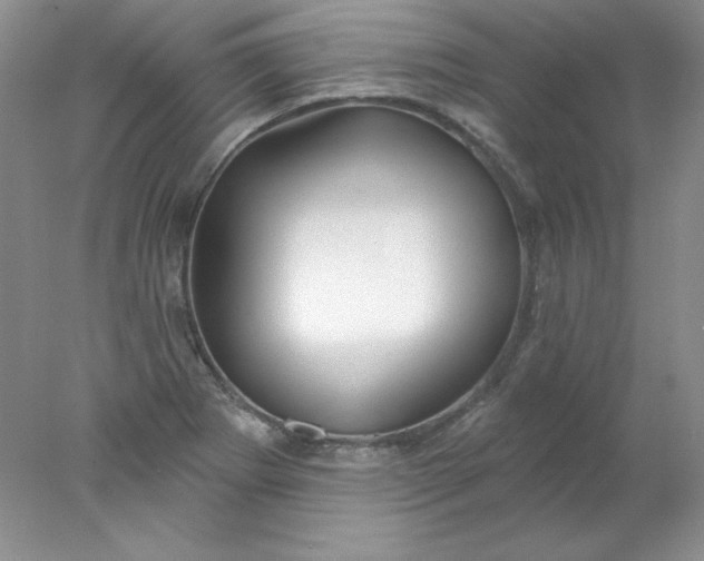 X0000078011273200611101811