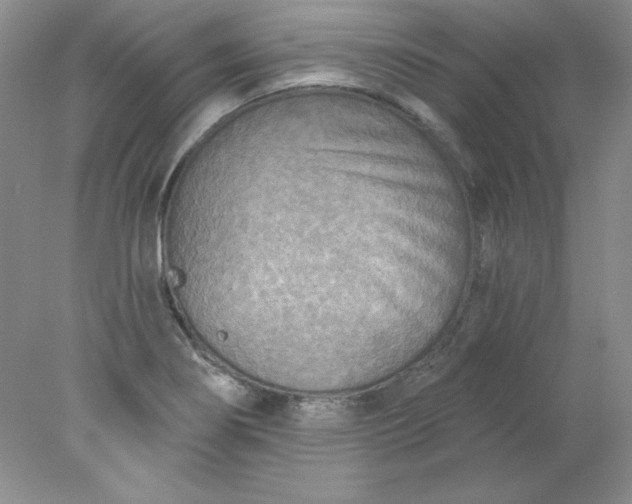 X0000078011274200611101811