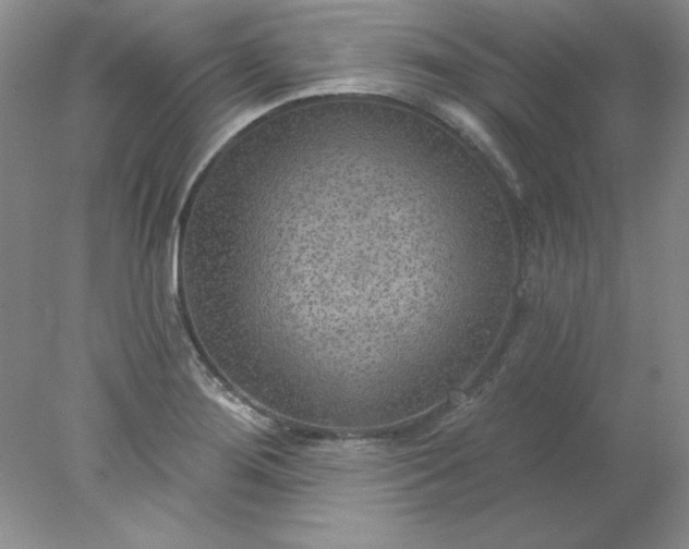 X0000078011276200611101811