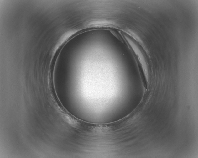 X0000078011277200611101811