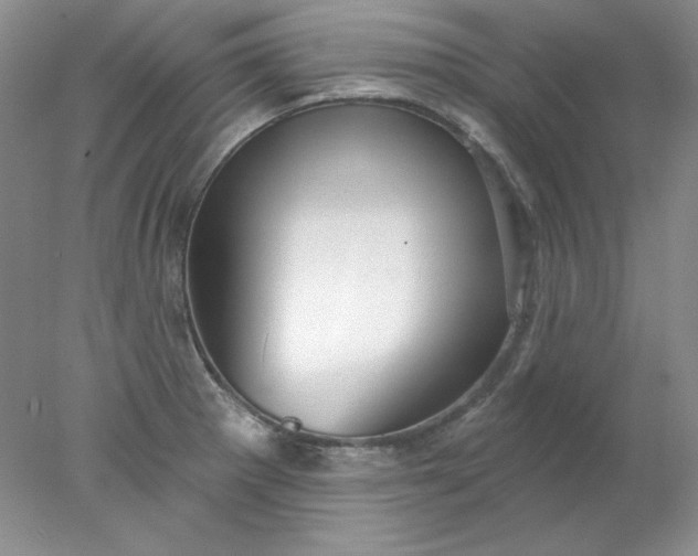 X0000078011281200611101811