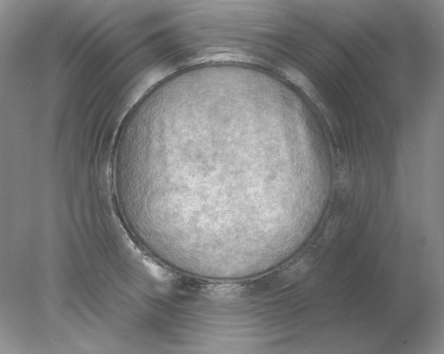 X0000078011282200611101811