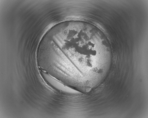 X0000078011283200611101811